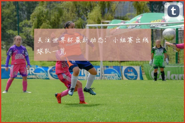 关注世界杯最新动态:小组赛出线球队一览